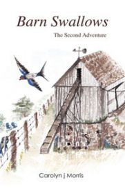 Barn Swallows: The Second Adventure