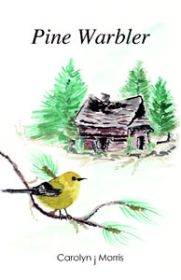 Pine Warbler